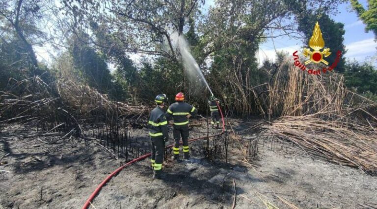 Scattato il periodo a rischio incendi boschivi, stop agli abbruciamenti