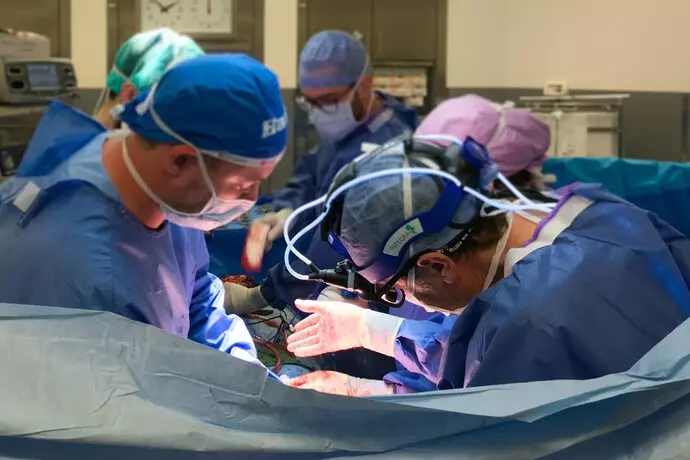 A Pisa rimosso un tumore al pancreas giudicato inoperabile
