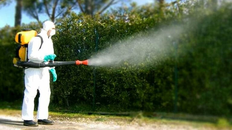 Zanzare, l’Asl: la prevenzione parte dai comportamenti quotidiani