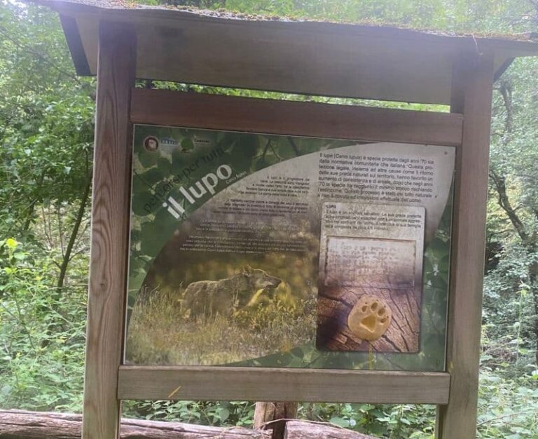 A Treppio il bellissimo sentiero del Rio a misura di ipovedenti