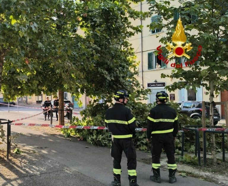 Ragazza ferita a un piede dalla caduta di un ramo