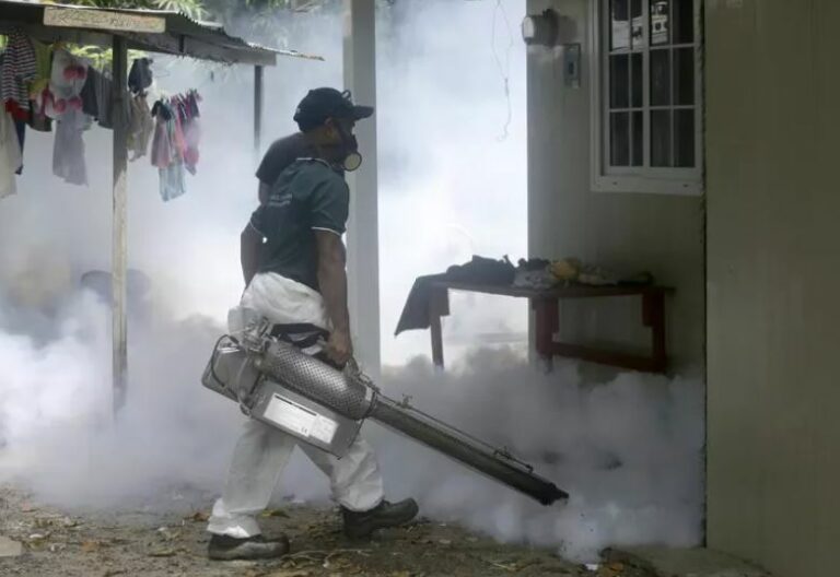 Nuovo caso di dengue, oggi la disinfestazione nella zona di Mezzana