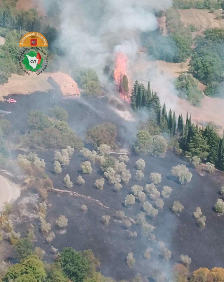 In fiamme a Montecatini Val di Cecina oliveti e boschi