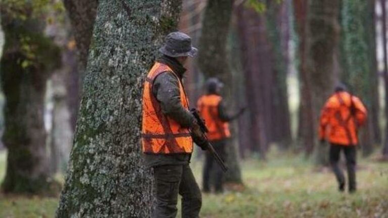 Toscana, la regione in cui si registra il maggior numero di incidenti di caccia mortali