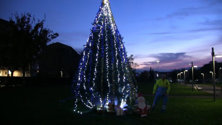 Misericordia, acceso l’albero di Natale: una luce di speranza e di unità