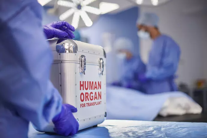 Bimbo trapiantato, il cuore viaggiò in un comune box di plastica e con ghiaccio secco