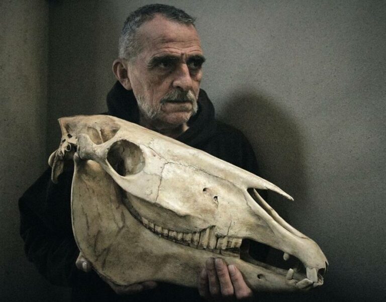 Il viaggio di Giovanni Lindo Ferretti: una biografia poetica tra musica e parole
