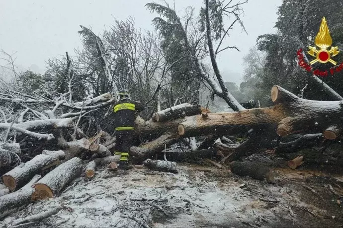 L’Emilia-Romagna tra vento forte e neve, oltre 500 interventi dei vigili del fuoco