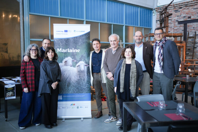 Rilanciare la filiera della lana trovando applicazioni innovative: il distretto di Prato protagonista del progetto europeo Marlaine