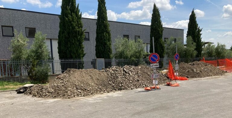 A Carmignano iniziata la sostituzione delle piante