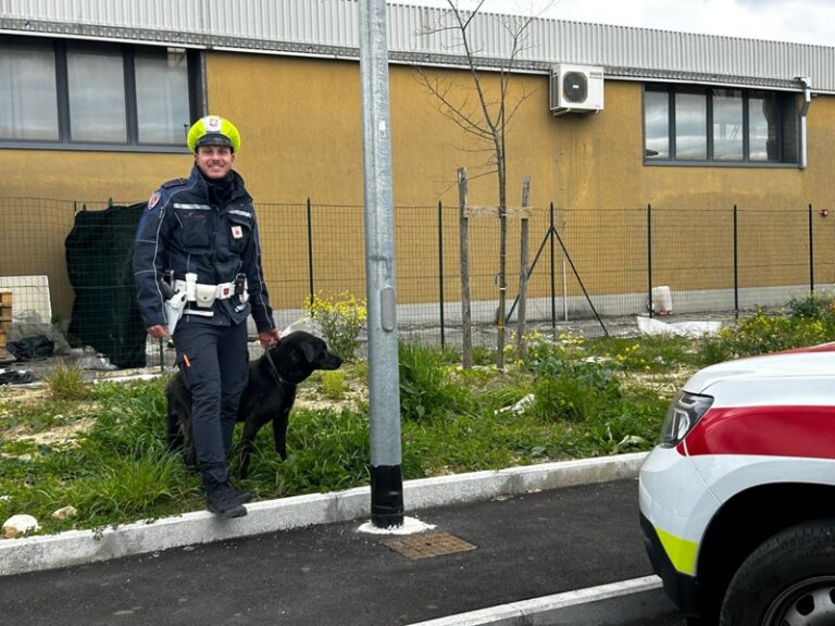 Montemurlo, recuperato un cane che vagava in strada