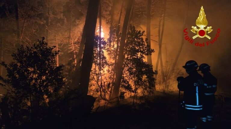 Capannori, a fuoco un bosco