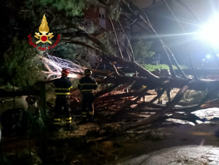 Maltempo a Firenze, albero caduto su auto e scuole allagate