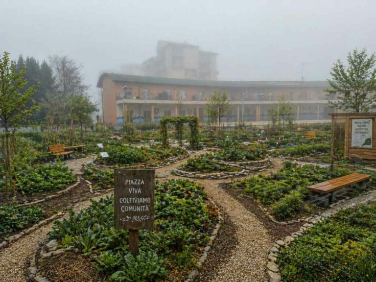 Da Orizzonte Green una proposta per riqualificare piazza Nelson Mandela