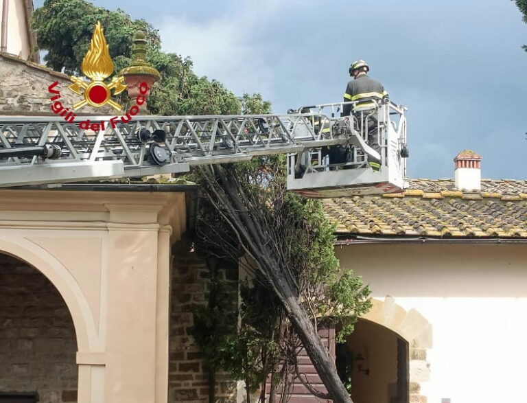 Danni per il maltempo, a Scandicci cipresso cade su una Chiesa