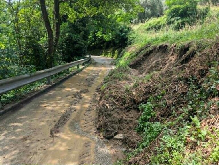 Maltempo, danni alla viabilità boschiva nell’alta collina pistoiese