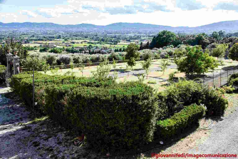 Tra storia e biodiversità: rinasce il pomario della Villa di Celle