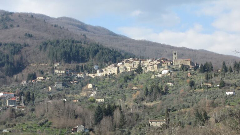 C’è il contributo regionale, via alla progettazione dell’incrocio di Molin Nuovo