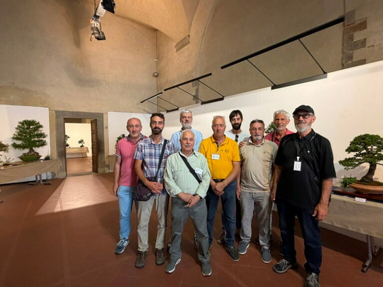 Bonsai in mostra per due giorni nelle Sale Affrescate del Palazzo comunale