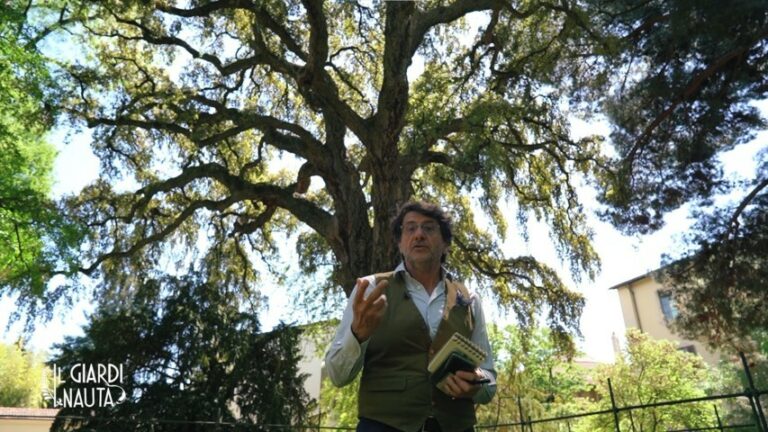 A Tvl torna il Giardinauta, trasmissione sull’arte dei giardini condotta da Stefano Mengoli