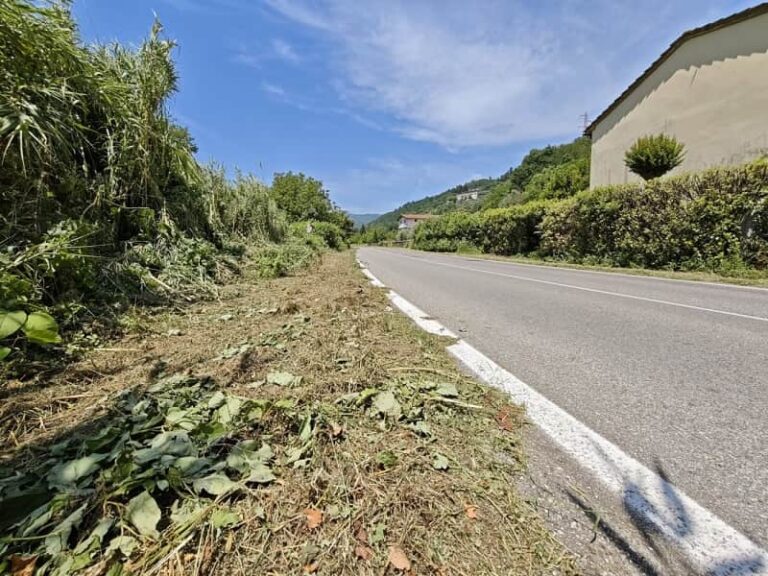 Strade provinciali: al via gli interventi di sfalcio e pulizia della vegetazione