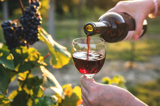 La Toscana protagonista alla rassegna nazionale dei vini biologici