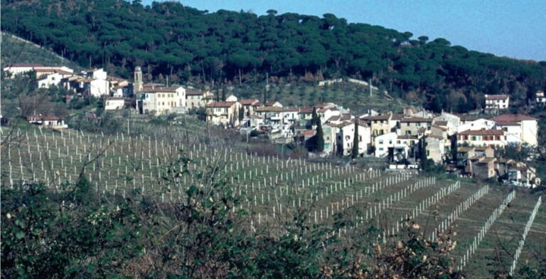 Carmignano protagonista sulla rivista Il Sommellier per il premio “Piano regolatore Città del Vino”              