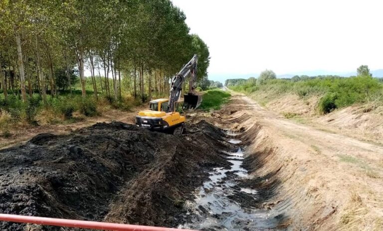 Manutenzione nel Padule di Fucecchio. Interventi al via nella riserva naturale Righetti