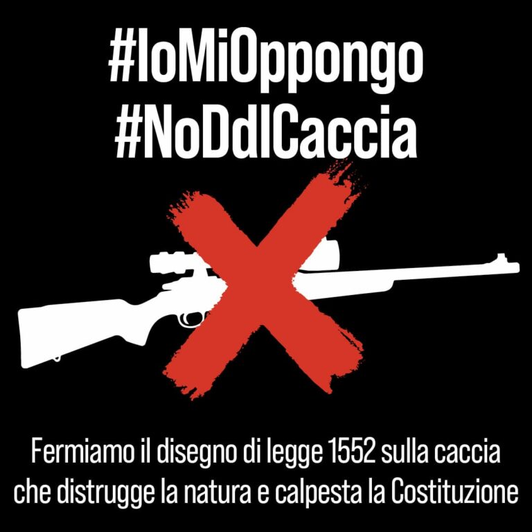 Sit-in contro il Disegno di legge sulla caccia: “Smantella le tutele ambientali”