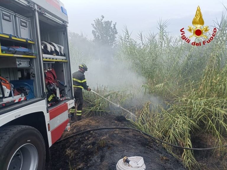 Incendio di terreni incolti tra campo sportivo di Pontelungo e tangenziale ovest