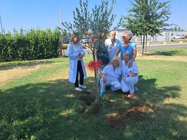 Ospedale Santo Stefano, donato un ulivo per il PASS