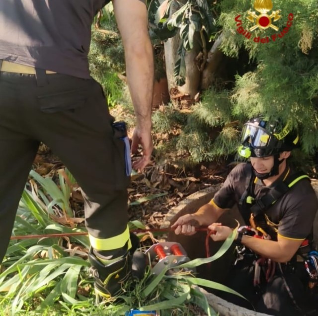 Montemurlo. I vigili del fuoco salvano Penny, finita in un pozzo