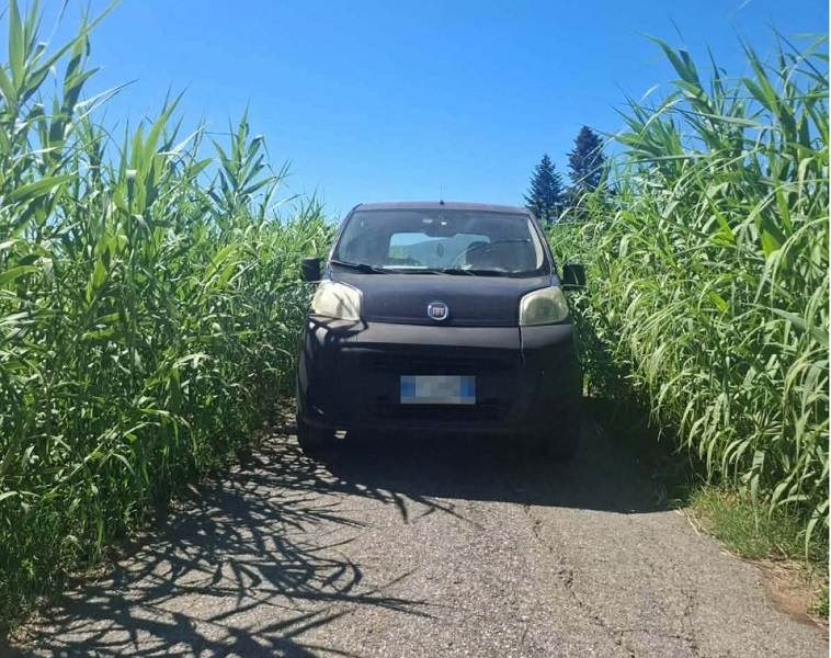 Argine e strada invasi dalla vegetazione. FdI chiede notizie al Sindaco