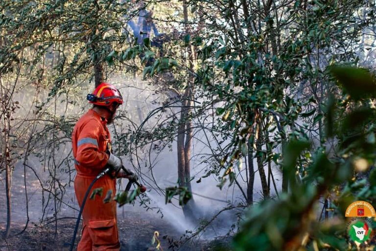 Incendi di Firenzuola e Torre del Lago, in corso bonifica e controllo