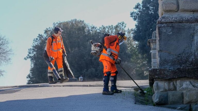 Prato, al via l’intervento straordinario di sfalcio del verde lungo le strade