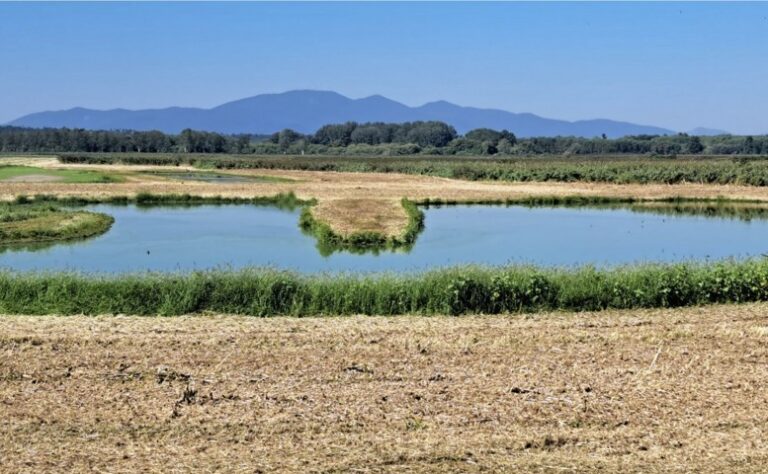 Riserve naturali, 430mila euro di investimenti per la manutenzione