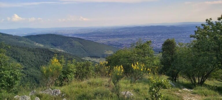 Abusi edilizi nel cuore di Monte Morello, i carabinieri forestali sequestrano manufatto
