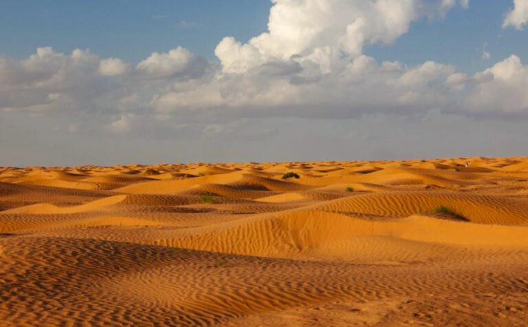Salgono, ma per poco, i PM10 in Toscana con la sabbia del Sahara