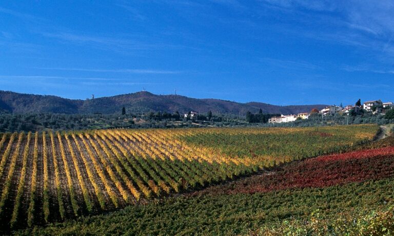 Agricoltura. Il Comune apre “Sportello agronomico” per le coltivazioni biologiche