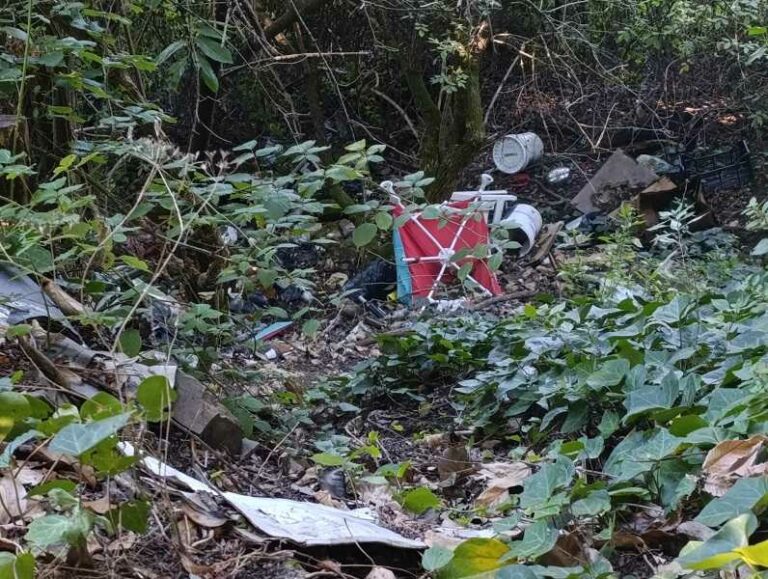 Dallo sfalcio dell’erba spunta una discarica abusiva a Vellano