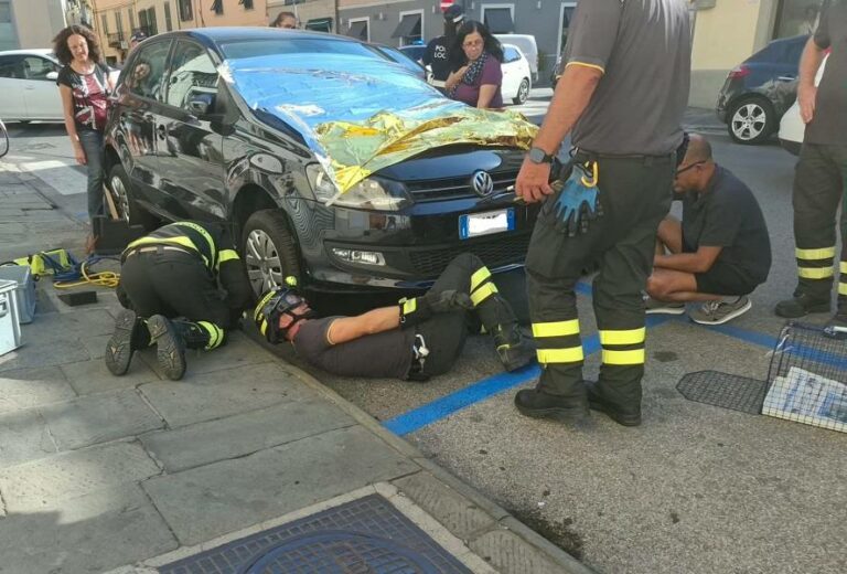 Miagolava da ore da dentro il cofano di un’auto. Movimentato salvataggio di un gattino