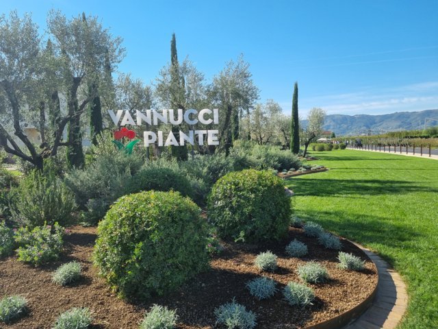 Un giardino come porta d’ingresso: Jean Mus disegna la Toscana di Vannucci Piante