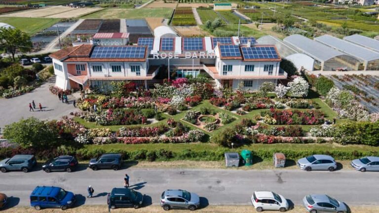 “Rosa Sublime”, il vivaio Rose Barni apre le porte alla città