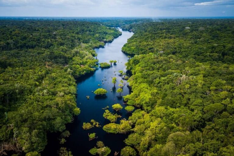 Un ponte tra Pistoia e l’Amazzonia, incontro al Campus Vannucci