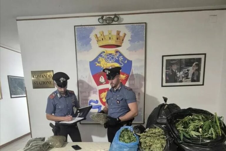 Coltivavano marijuana nel giardino condominiale, arrestata coppia a Sansepolcro