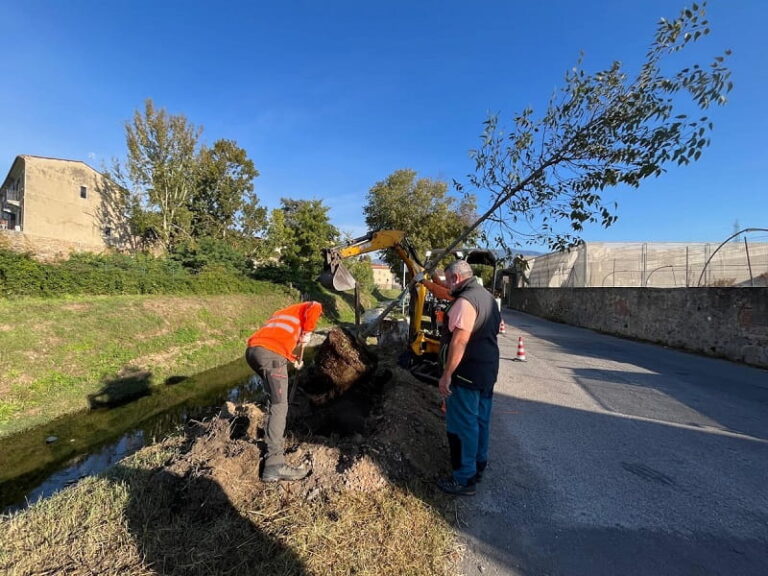 Via dei Campisanti, in corso la messa a dimora di nuovi alberi lungo il torrente Brana